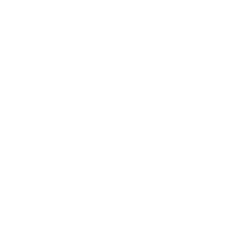 Chaos Fuel logo